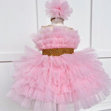 Pink Isabela Dress