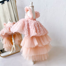 Eloise Dress (Blush)