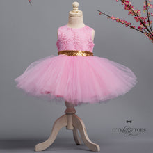 Princess Aisha Dress (Pink & Gold)