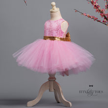 Princess Aisha Dress (Pink & Gold)