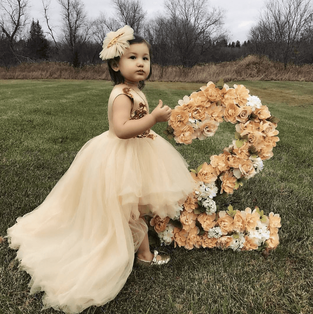 Sasha Dress (Champagne) - Couture - Itty Bitty Toes