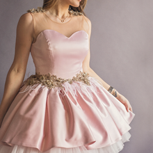 Mommy Blush Swan Dress - Couture - Itty Bitty Toes