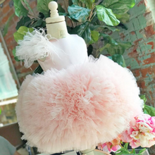 Kloe Dress (Pink)